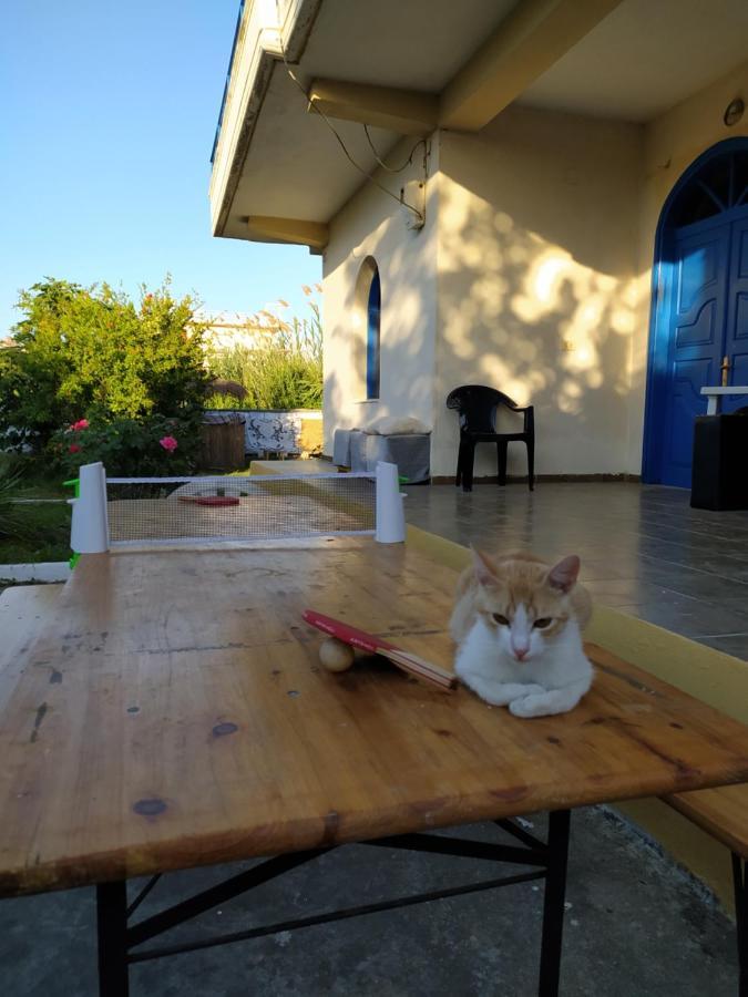 Pinegroove Hostel Vlora Екстериор снимка
