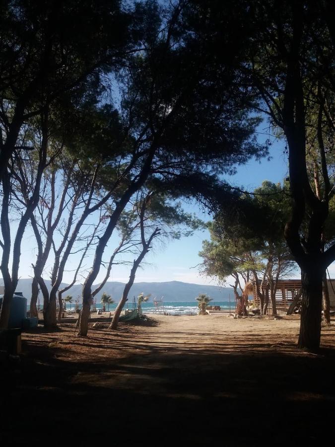 Pinegroove Hostel Vlora Екстериор снимка