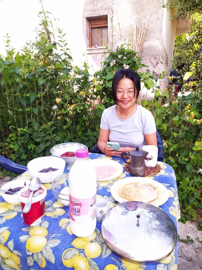 Pinegroove Hostel Vlora Екстериор снимка